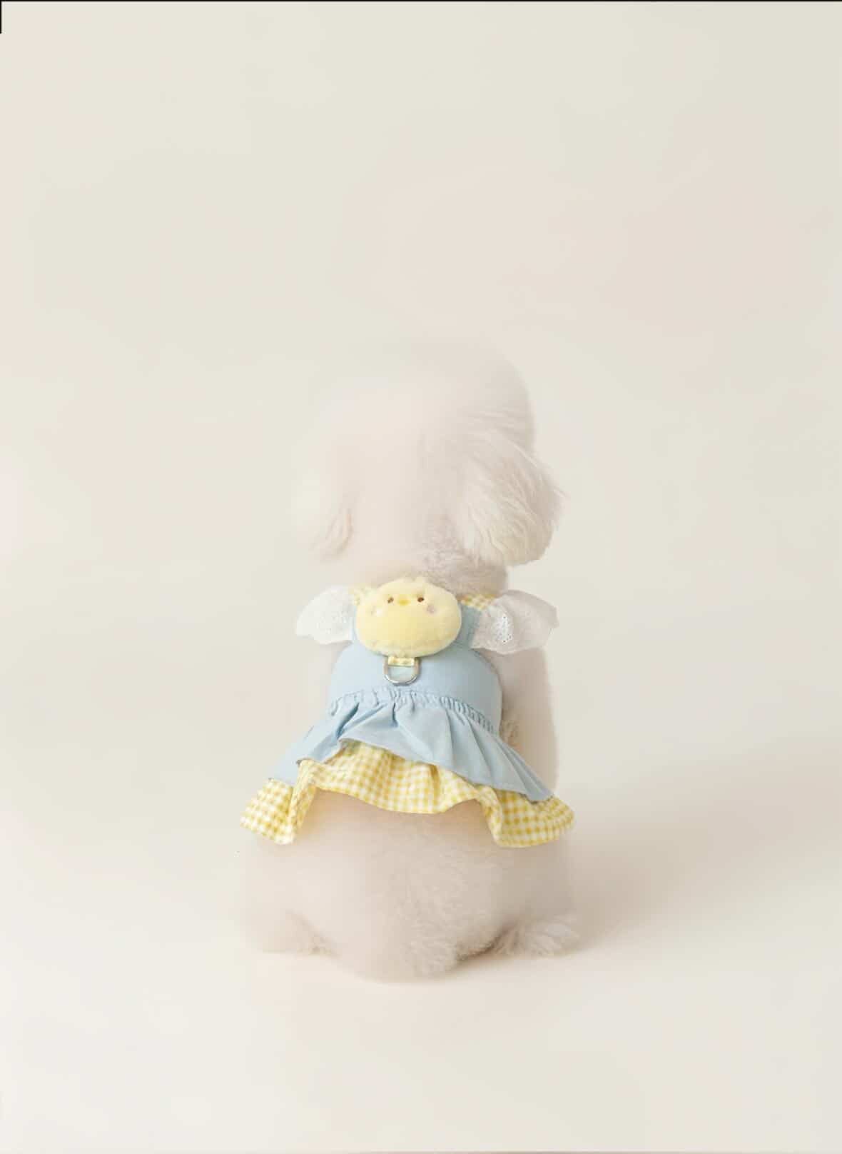 Sweet Angel Dress